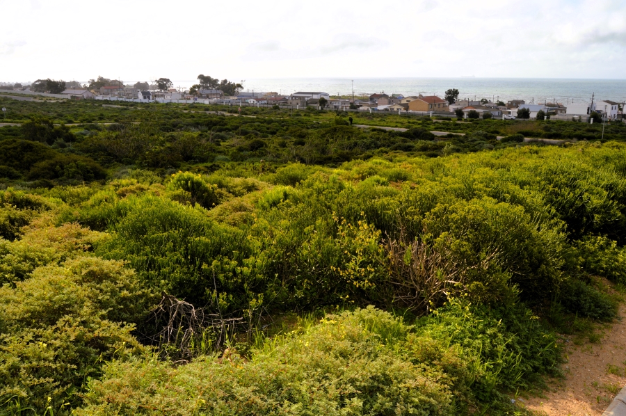 0 Bedroom Property for Sale in St Helena Views Western Cape